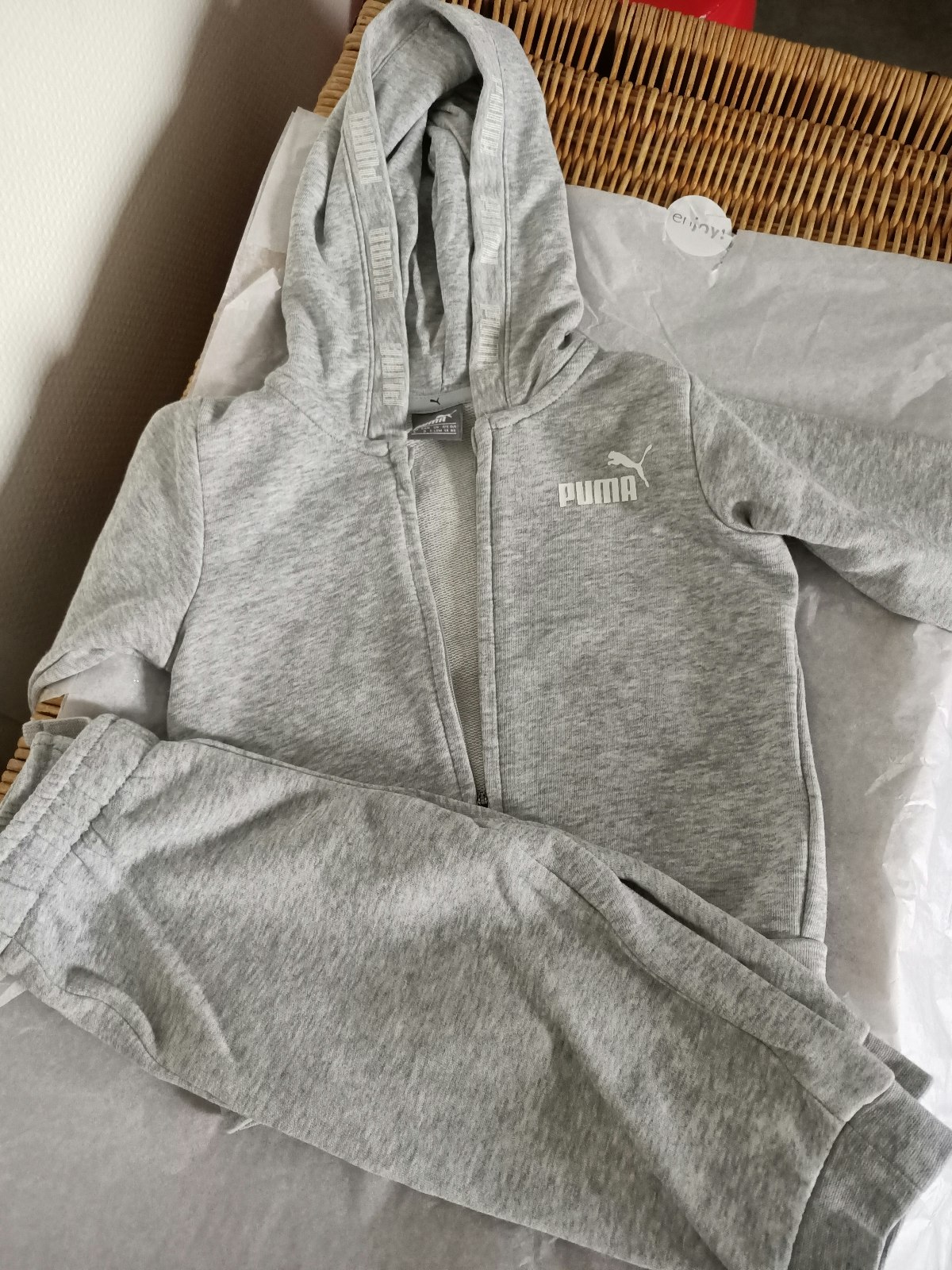 Jogging puma