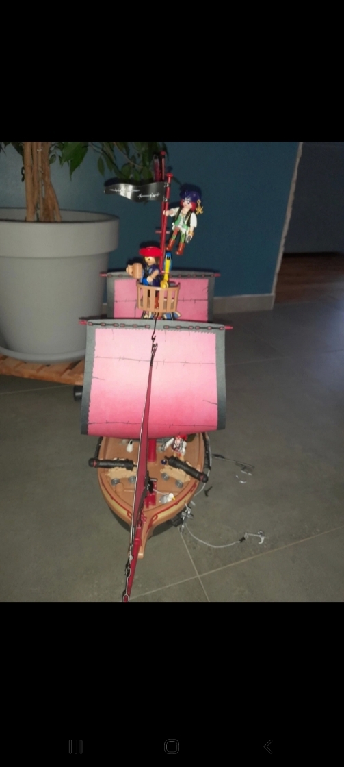 Grand bateau pirates - photo numéro 8