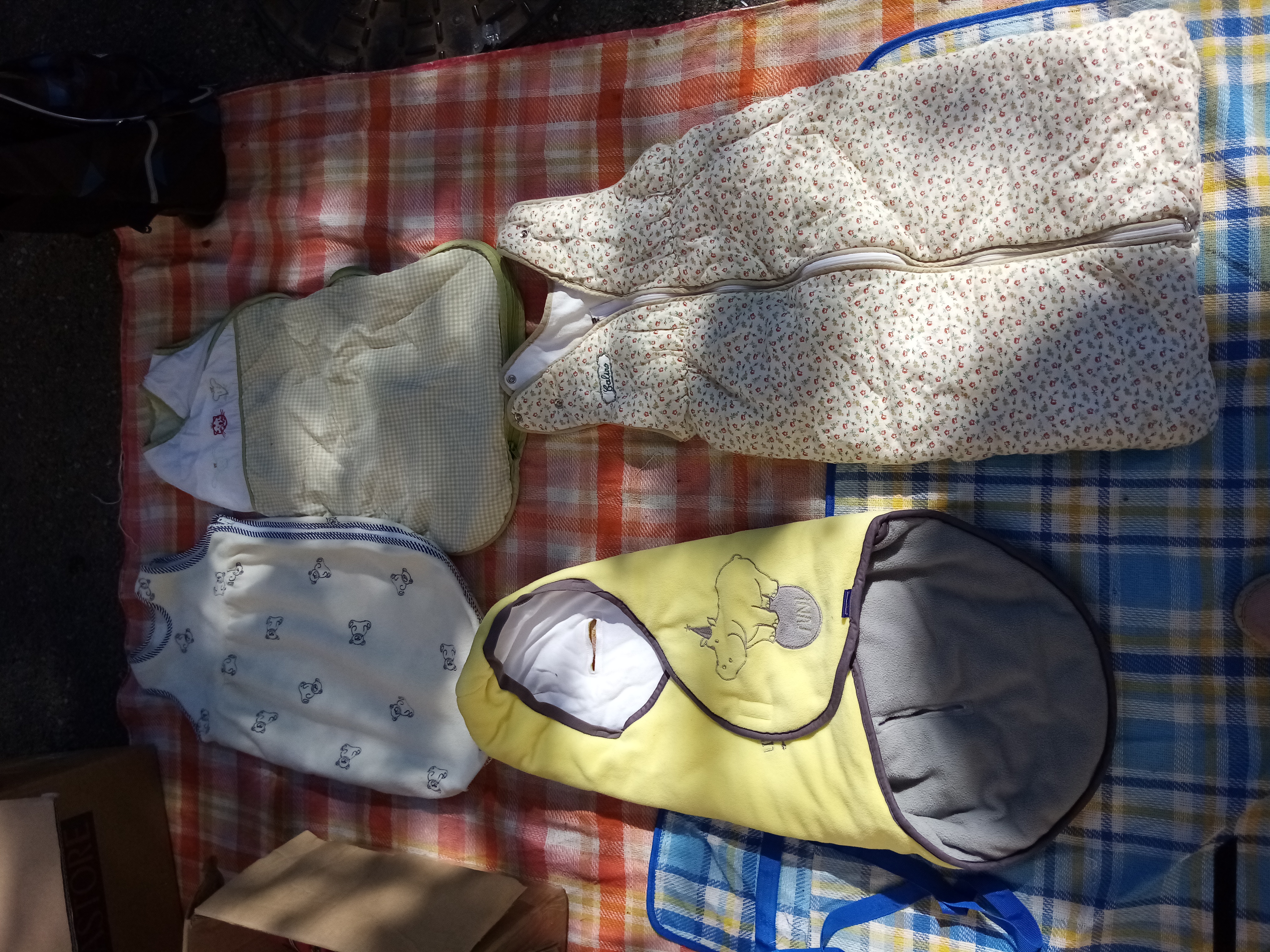 Gigoteuses et nid d'ange