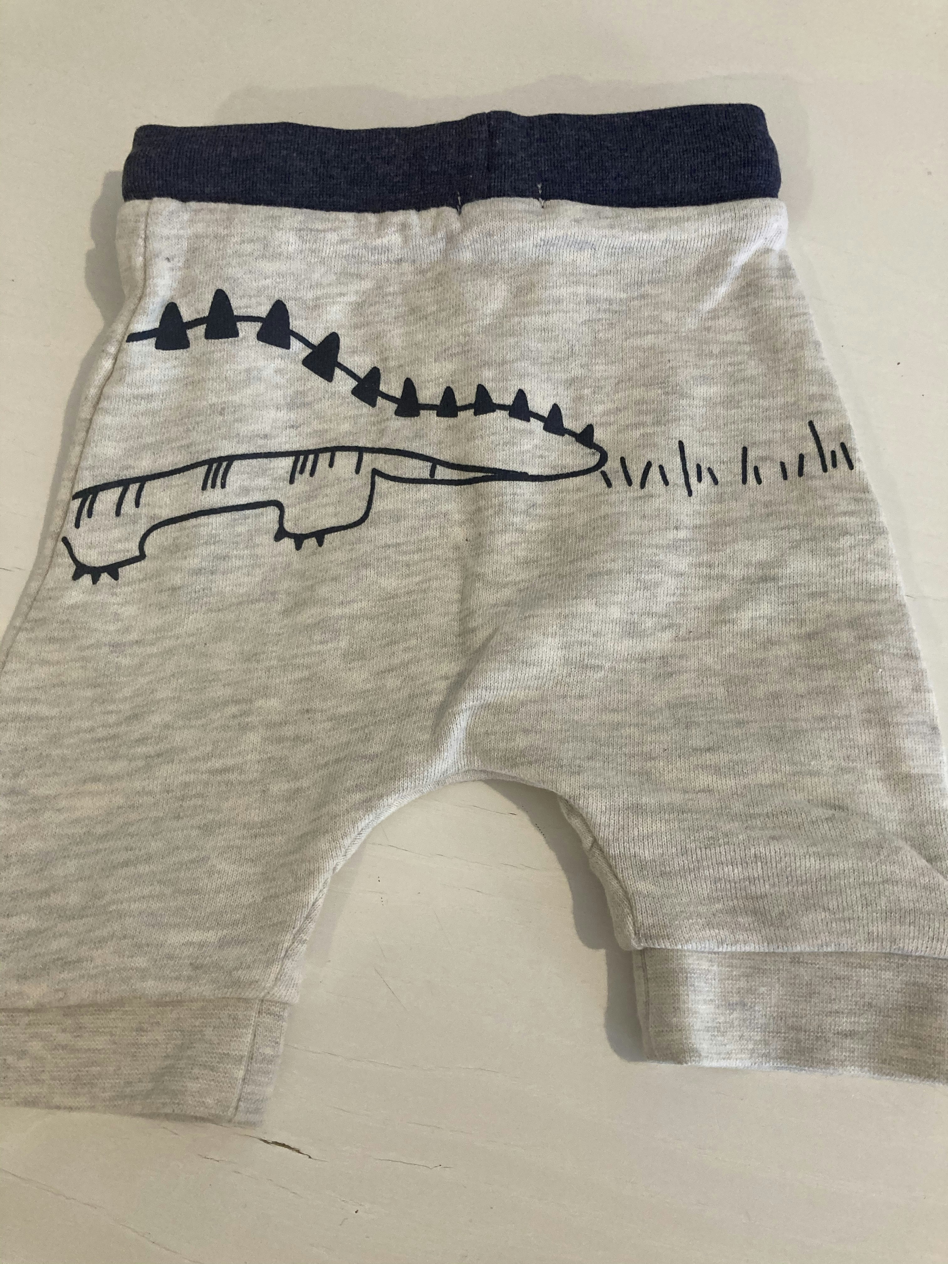 Jogging dinosaure - photo numéro 2