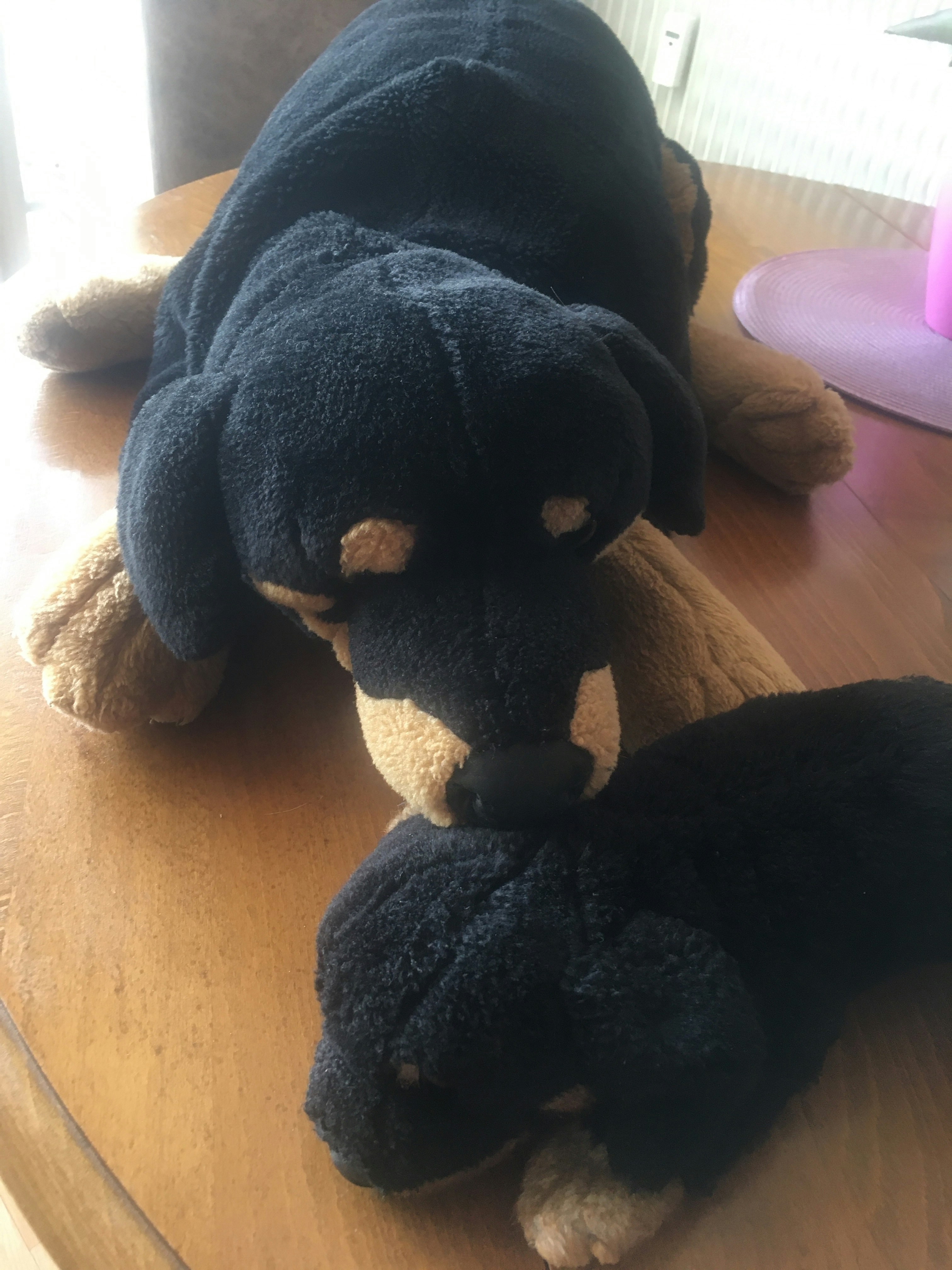 Maman Rott et son chiot