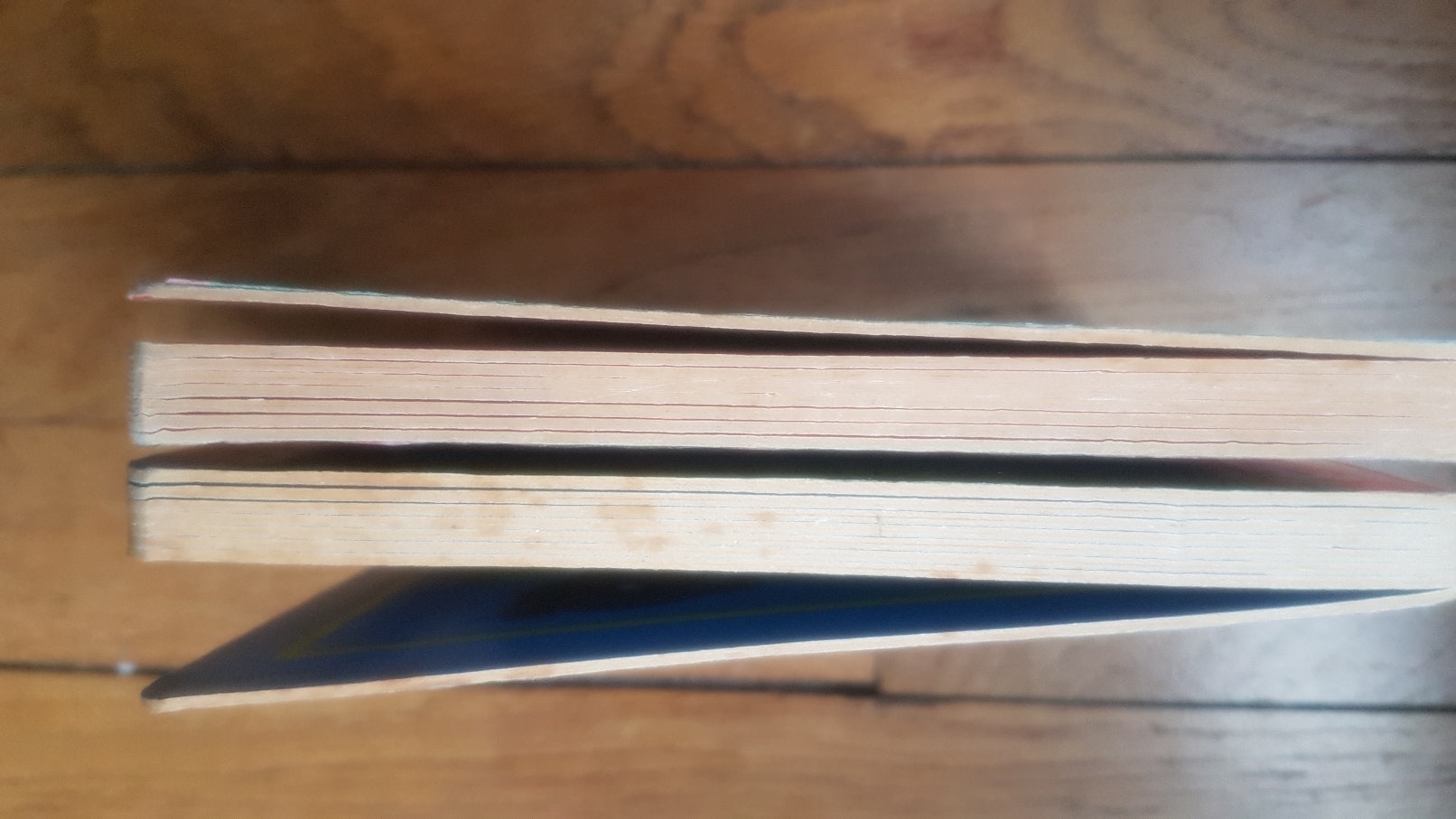 Lot de 2 livres petit ours brun cartonnes - photo numéro 4