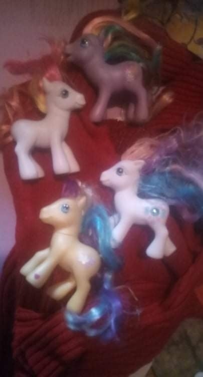 Poney
