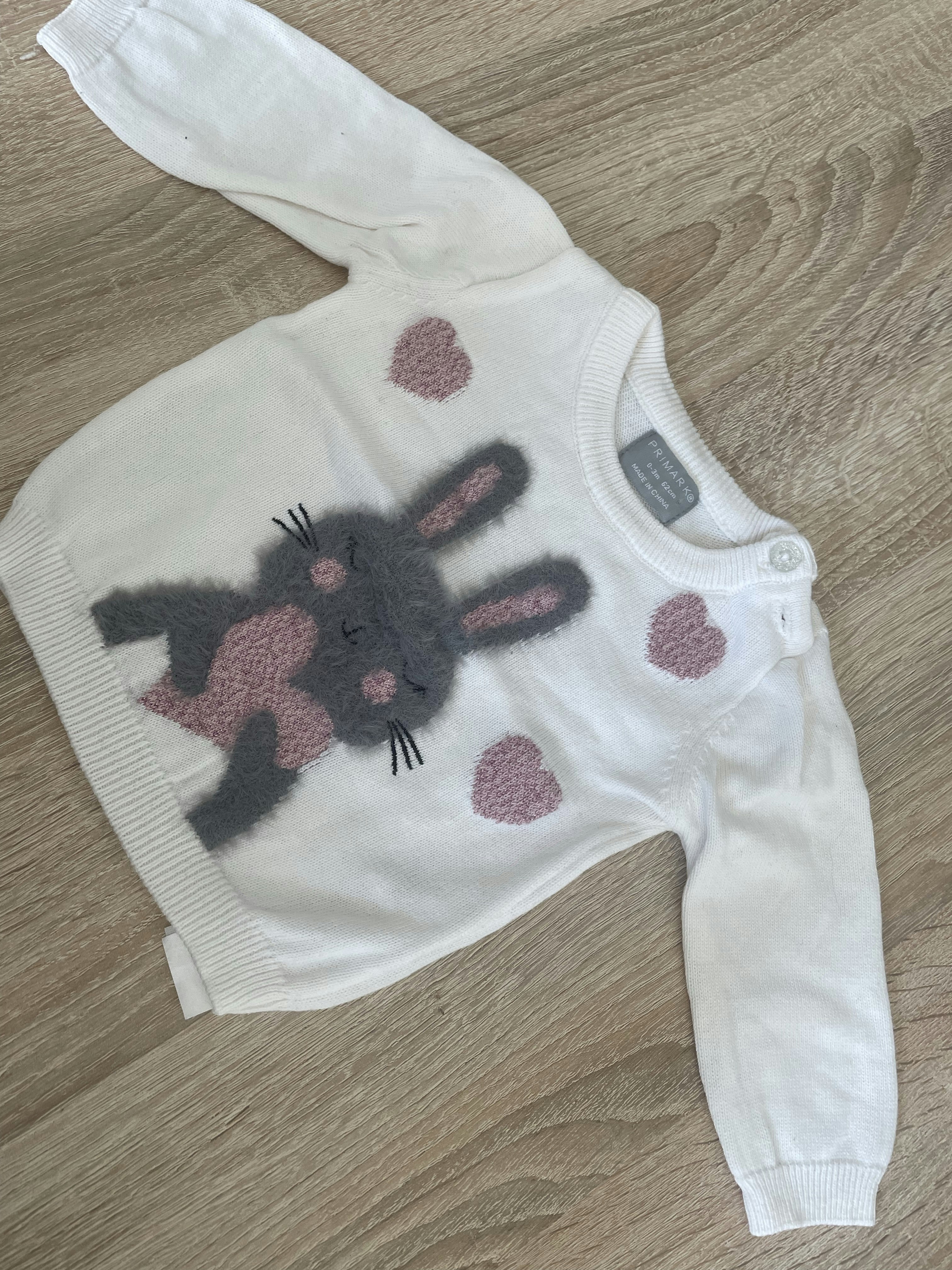 Pull lapin