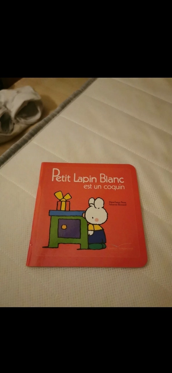 Livre petit lapin - photo numéro 2