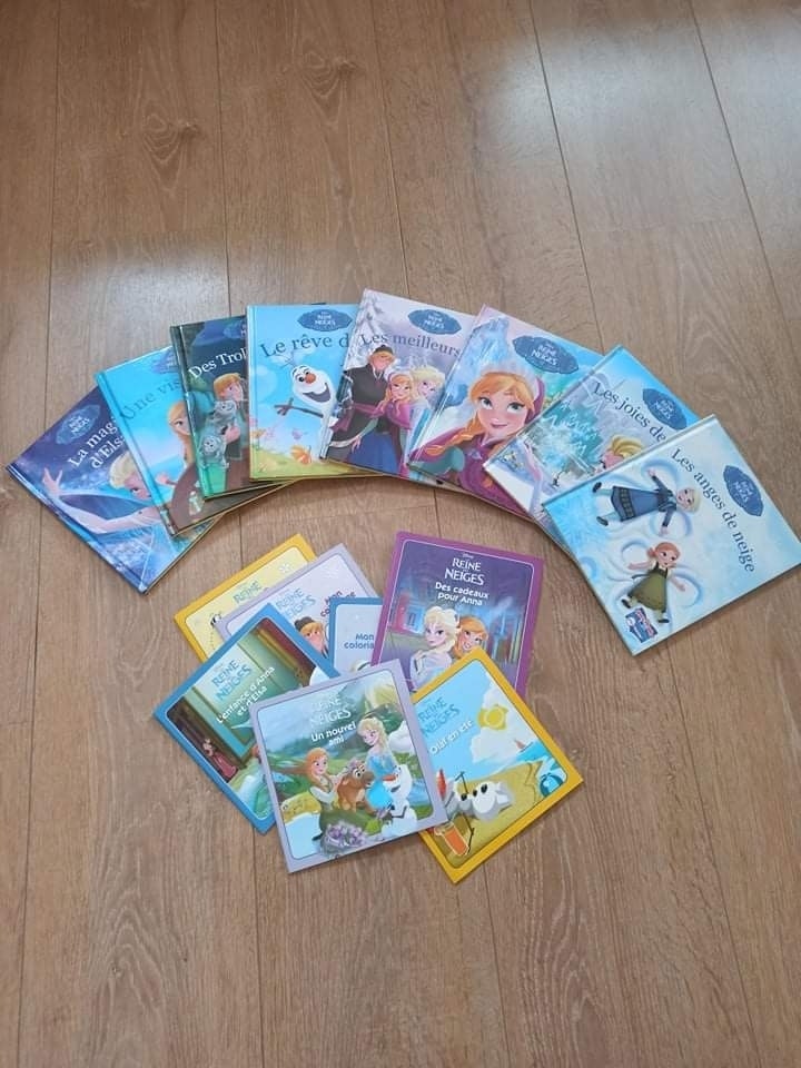 Livres reine des neigrs lot