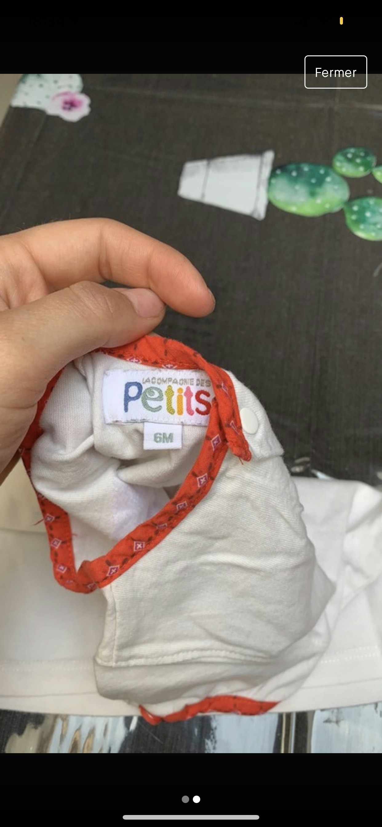 Tee shirt - photo numéro 2