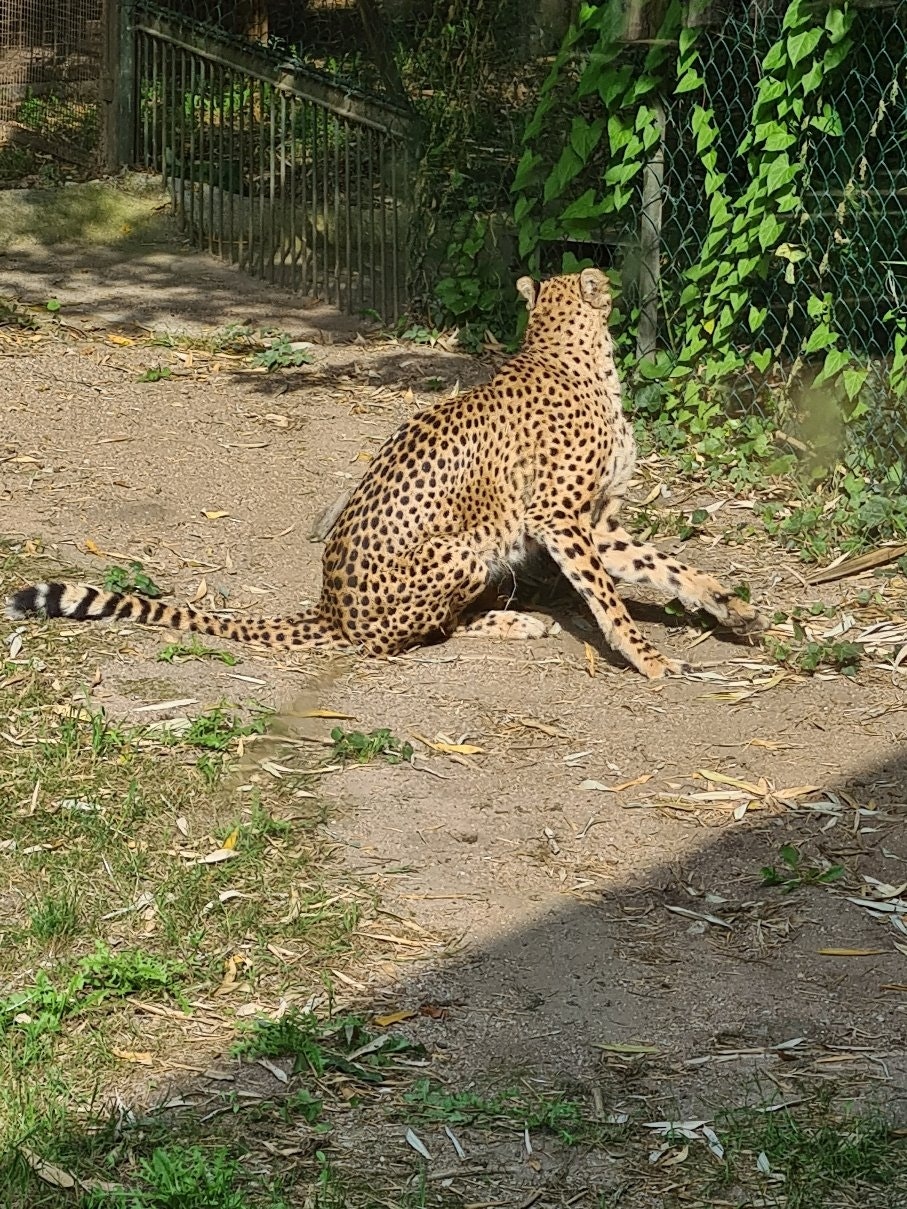 profil du vendeur