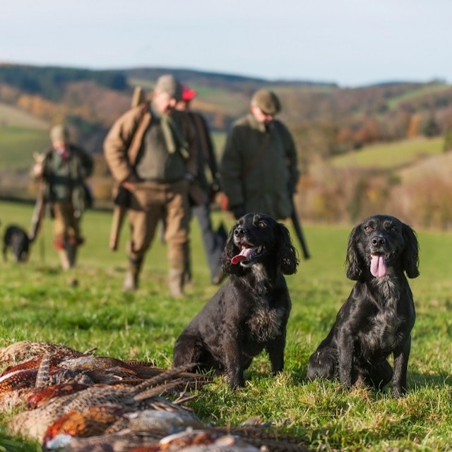 Kempton Bettws Hall, Shropshire Availability on GunsOnPegs