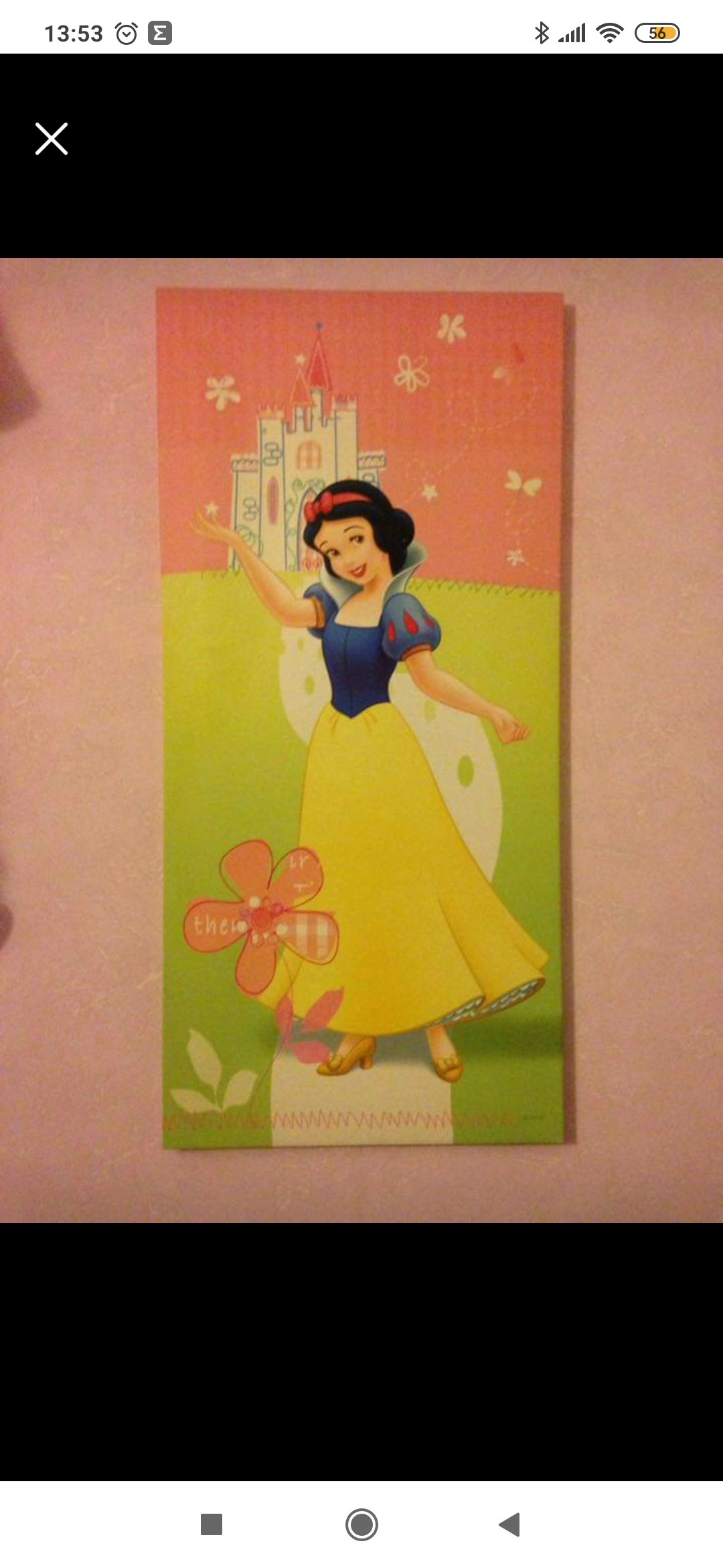Cadre blanche neige