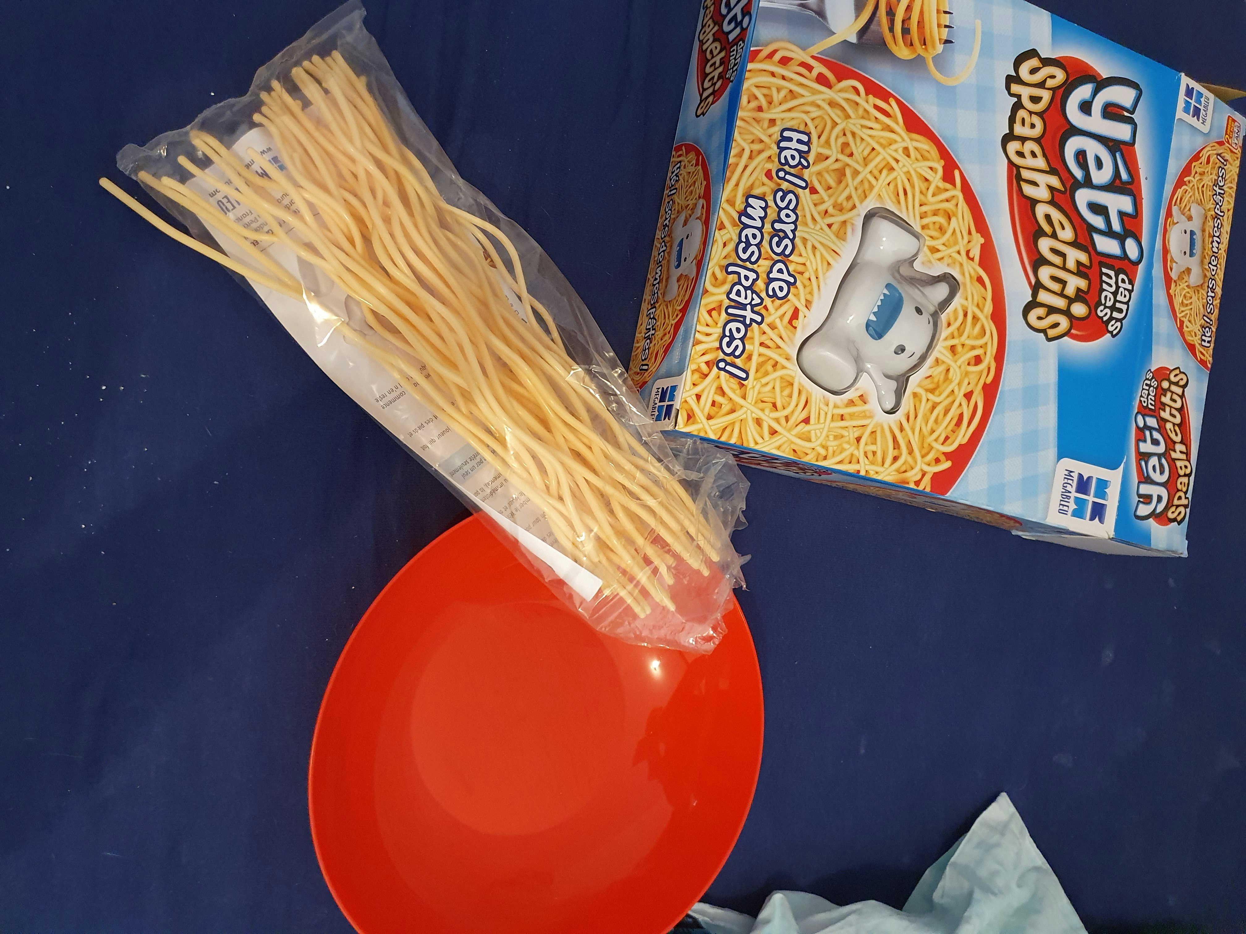 Yéti dans mes spaghettis - photo numéro 2